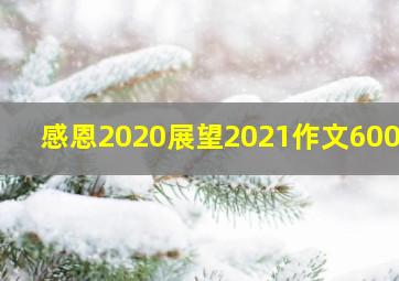 感恩2020展望2021作文600字