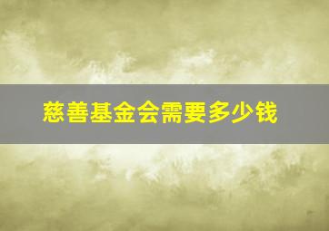 慈善基金会需要多少钱