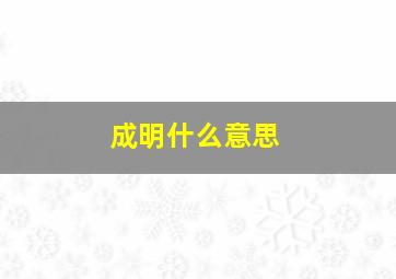 成明什么意思