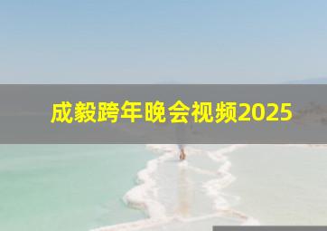 成毅跨年晚会视频2025