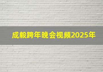 成毅跨年晚会视频2025年