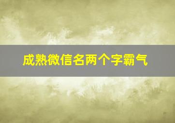 成熟微信名两个字霸气