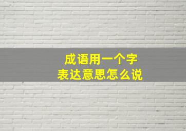 成语用一个字表达意思怎么说