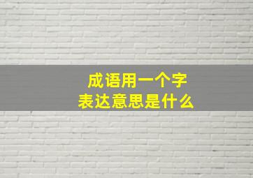 成语用一个字表达意思是什么