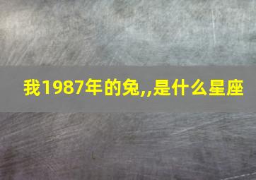 我1987年的兔,,是什么星座