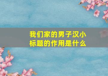 我们家的男子汉小标题的作用是什么