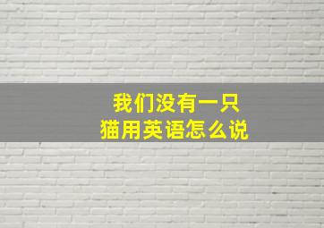 我们没有一只猫用英语怎么说