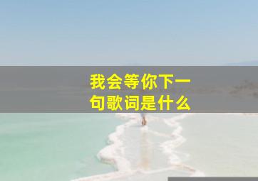 我会等你下一句歌词是什么