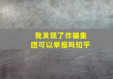 我发现了诈骗集团可以举报吗知乎