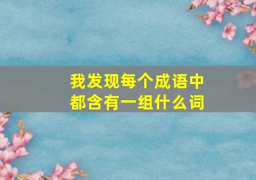 我发现每个成语中都含有一组什么词