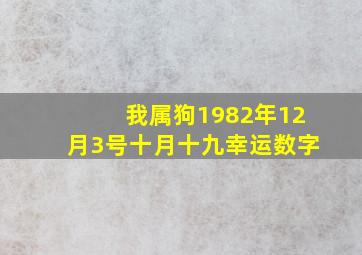 我属狗1982年12月3号十月十九幸运数字