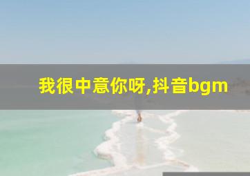 我很中意你呀,抖音bgm