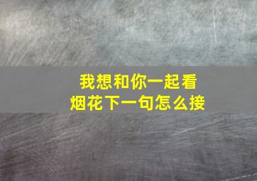 我想和你一起看烟花下一句怎么接