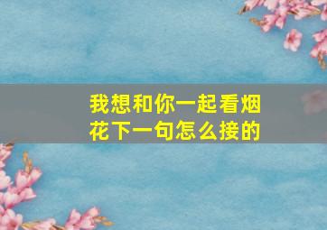 我想和你一起看烟花下一句怎么接的