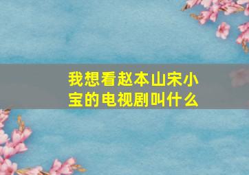 我想看赵本山宋小宝的电视剧叫什么