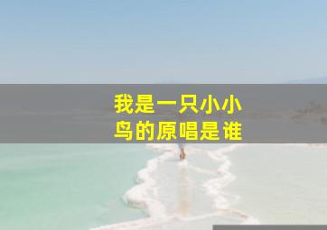 我是一只小小鸟的原唱是谁