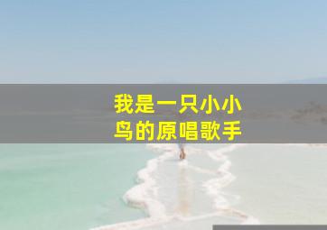 我是一只小小鸟的原唱歌手