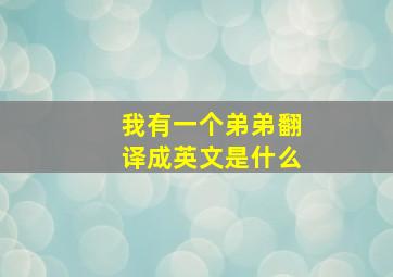 我有一个弟弟翻译成英文是什么