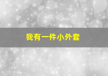 我有一件小外套