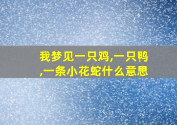 我梦见一只鸡,一只鸭,一条小花蛇什么意思