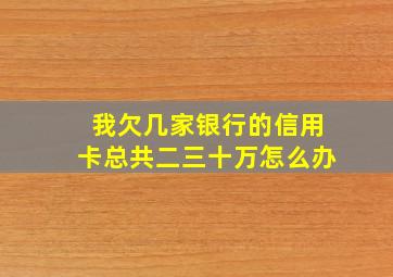 我欠几家银行的信用卡总共二三十万怎么办