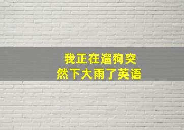 我正在遛狗突然下大雨了英语