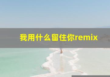 我用什么留住你remix