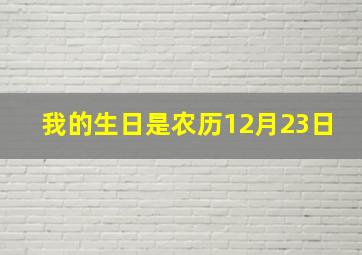 我的生日是农历12月23日