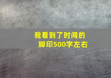 我看到了时间的脚印500字左右