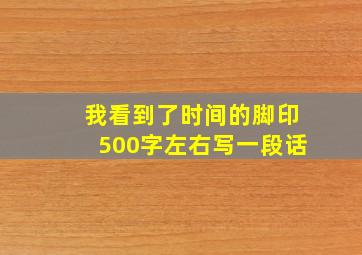 我看到了时间的脚印500字左右写一段话