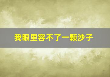 我眼里容不了一颗沙子