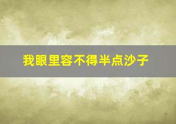 我眼里容不得半点沙子