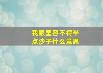 我眼里容不得半点沙子什么意思