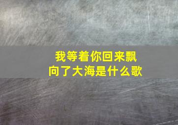 我等着你回来飘向了大海是什么歌