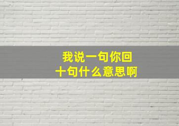 我说一句你回十句什么意思啊