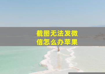 截图无法发微信怎么办苹果