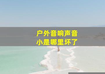 户外音响声音小是哪里坏了