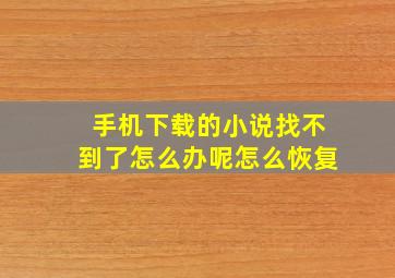 手机下载的小说找不到了怎么办呢怎么恢复