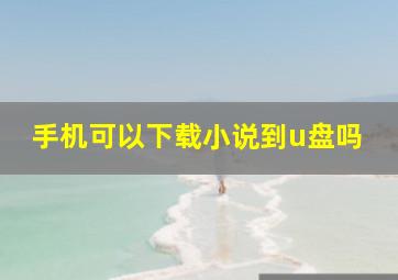 手机可以下载小说到u盘吗