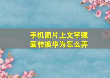 手机图片上文字镜面转换华为怎么弄