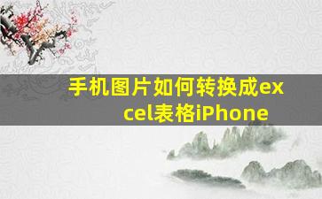 手机图片如何转换成excel表格iPhone