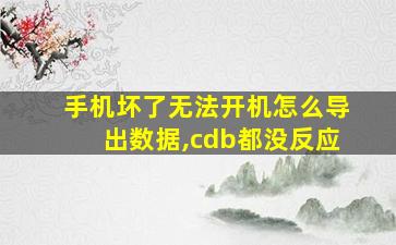 手机坏了无法开机怎么导出数据,cdb都没反应