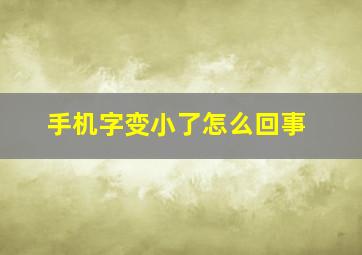 手机字变小了怎么回事