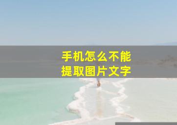 手机怎么不能提取图片文字