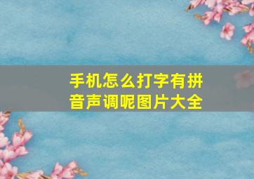 手机怎么打字有拼音声调呢图片大全