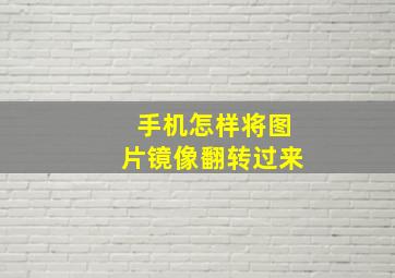 手机怎样将图片镜像翻转过来