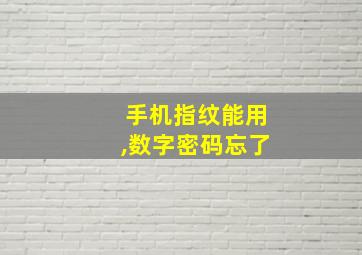 手机指纹能用,数字密码忘了