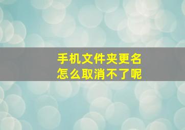 手机文件夹更名怎么取消不了呢