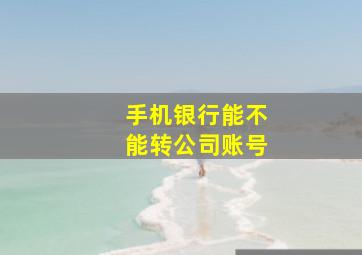 手机银行能不能转公司账号