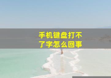 手机键盘打不了字怎么回事